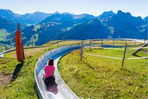 Exciting Bern Rodelbahn in Switzerland - Experience the Thrill of Alpine Tobogganing and Scenic Views