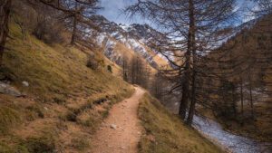 Val Trupchun Hiking Trail: An immersive journey through the serene Val Trupchun, featuring pristine landscapes and a glimpse into the heart of Swiss nature.